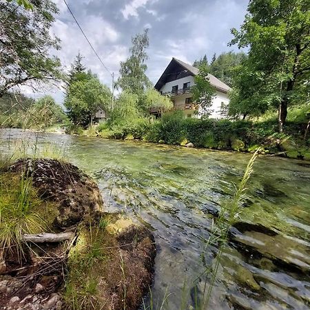 The Riverside Chill Hostel Bled Buitenkant foto