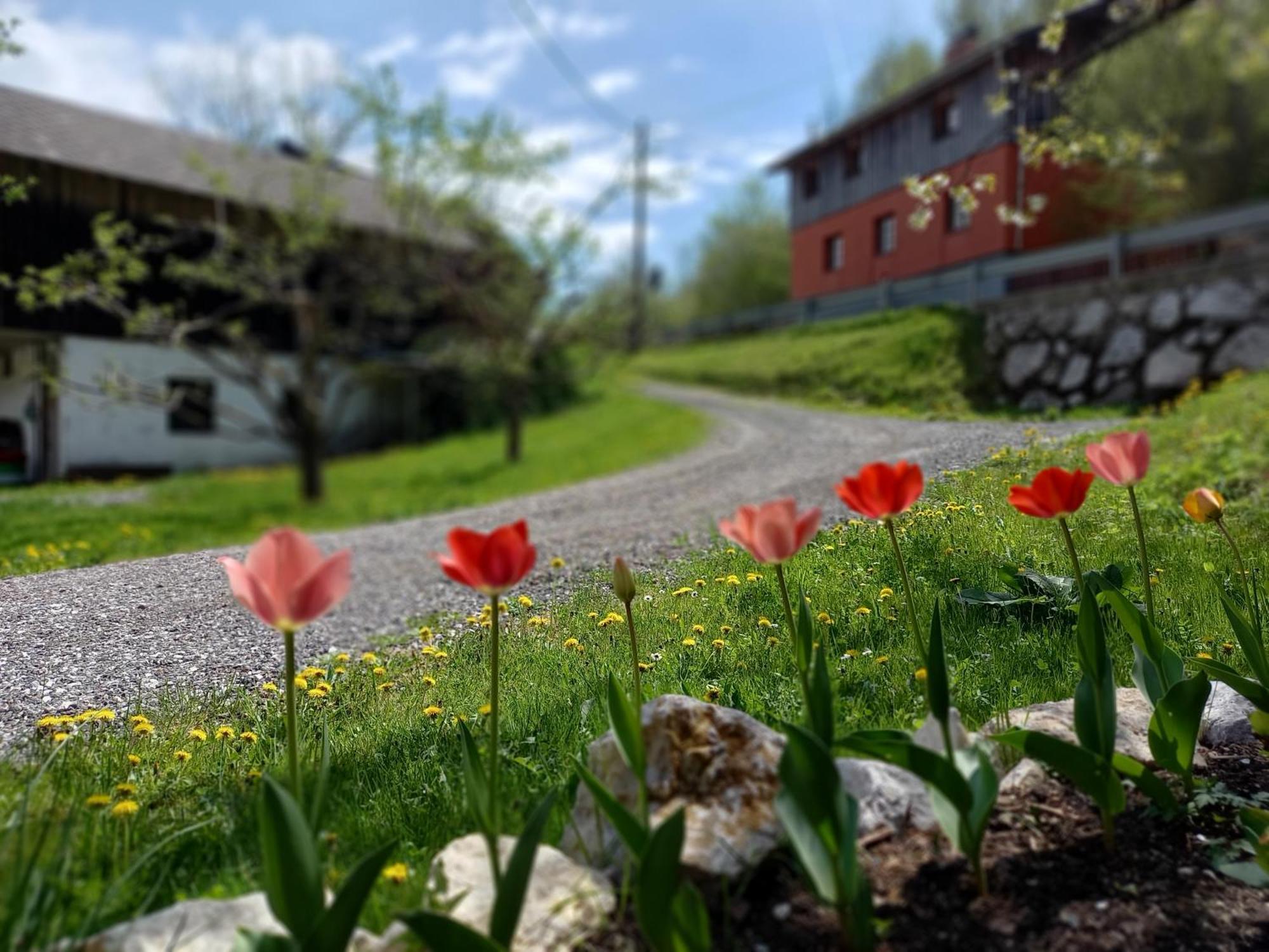 The Riverside Chill Hostel Bled Buitenkant foto