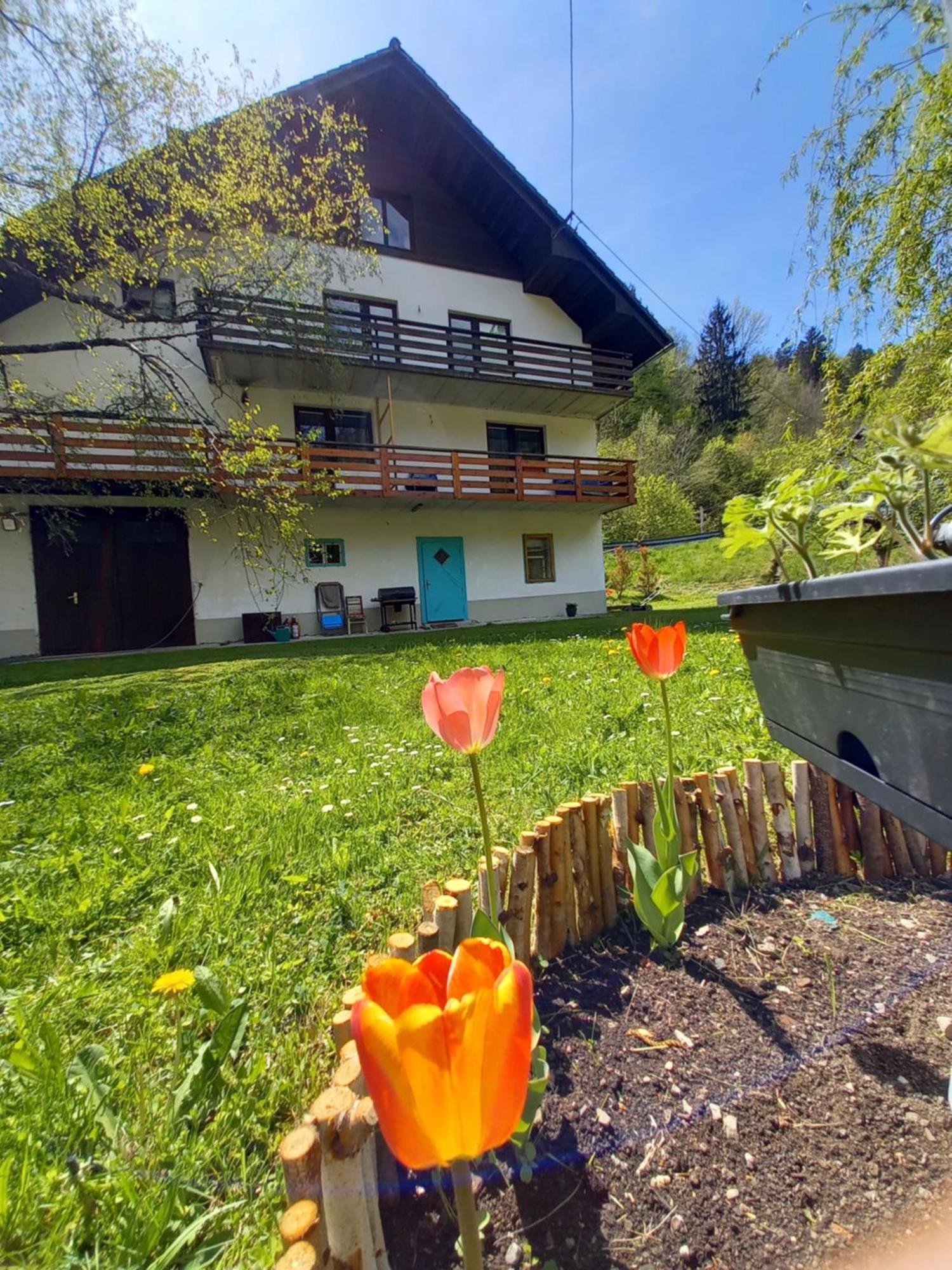 The Riverside Chill Hostel Bled Buitenkant foto